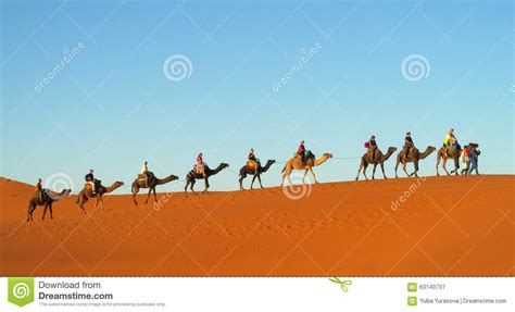Tourist Camel Caravan In Sahara Desert Editorial Photography Image Of