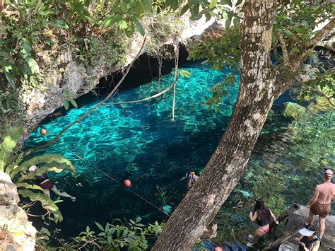 The Ultimate Guide To Visiting Gran Cenote Tulum Mexico