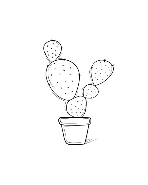 Tiny Cactus Line Art Drawing Art Print By Sabina Fenn Illustration