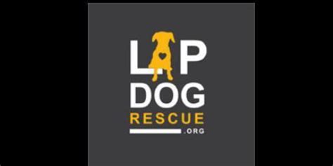 Blog Lap Dog Rescue Of New Mexico A Foster Based Rescue Organization