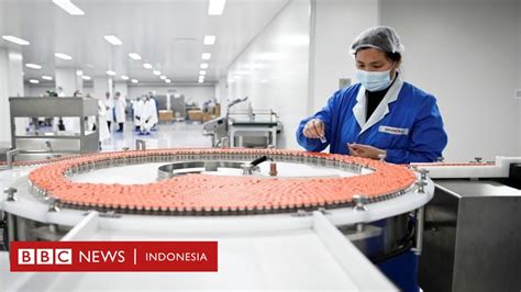 Vaksin Covid Sinovac Indonesia Targetkan Impor Pada Desember Bpom