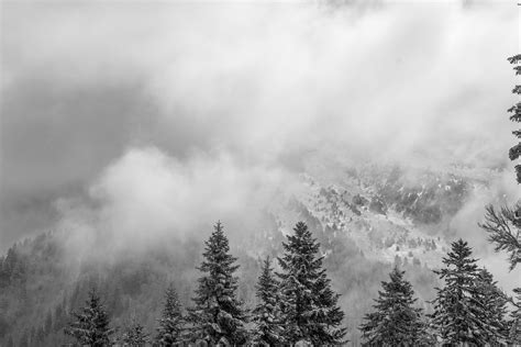 Free Images Tree Nature Forest Snow Winter Cloud Black And