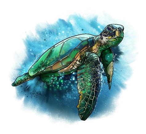 Turtle | Sea turtle art, Sea turtle painting, Turtle watercolor