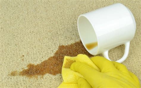 10 Helpful Tips For Cleaning Carpet Stains