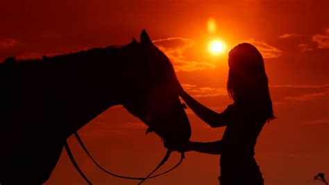 Female Rider Riding Horse To Horizon At Sunset Long Shot Stock Footage