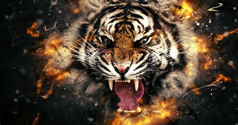 We did not find results for: tiger head in fire 4k ultra hd wallpaper | Art tigre ...