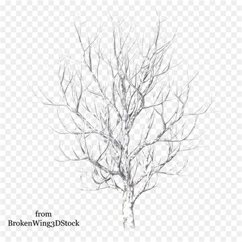 Tree Winter Drawing Snow Snow Tree Png Download 894