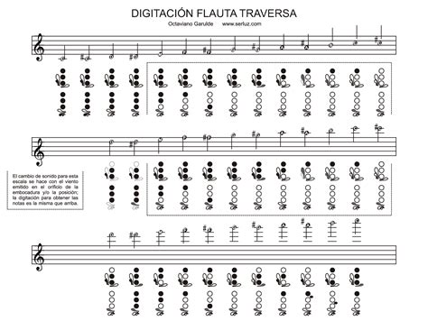 Flauta Travesera Historia Notas Características Y Precios