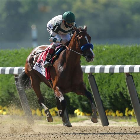 New York Bred Tiz The Law Wins Belmont Stakes Bookie Vault