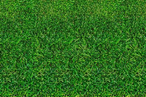 Grass Lawn Stock Image Image Of Ground Landscapes 22361111