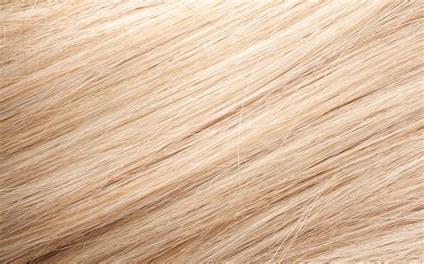 Download Wallpapers Blonde Hair Texture Macro White Hair