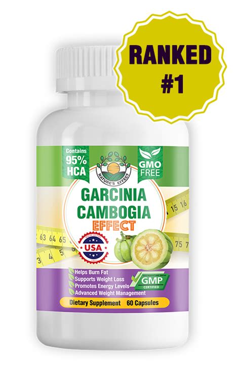 top 5 garcinia cambogia reviews which product is the most effective to help you lose weight
