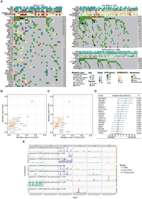The Landscape Of Somatic Mutations And Mutational Signatures In Has