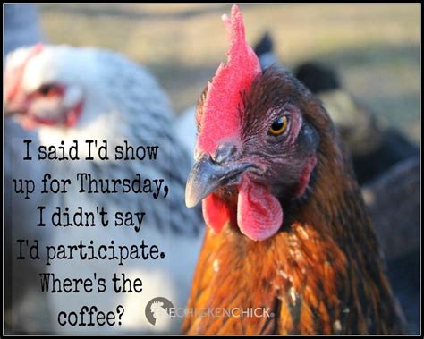Pin By Sharon Davis On Inspirational Quotes Chicken Humor Thursday
