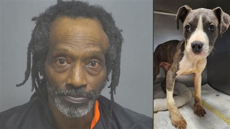 12 Dogs Rescued Owner Charged With Animal Cruelty In Bedford County