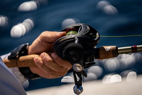 Choosing The Best Baitcasting Reels For Saltwater Great Days Outdoors