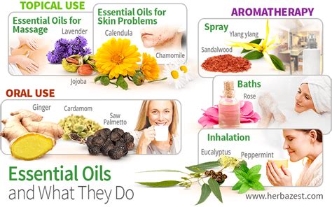 Essential Oils And What They Do Essential Oils Oils Lavender Spray
