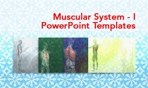 Muscular System I Medicine Powerpoint Templates