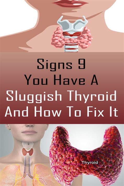 9 Signs You Have A Sluggish Thyroid And How To Fix It Sluggish