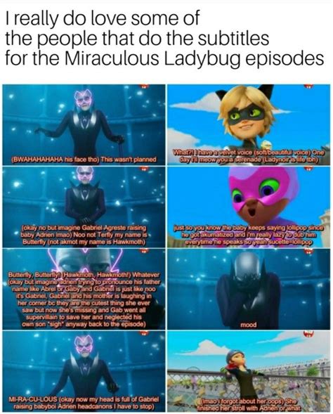 U R The Best Miraculous Ladybug Memes Miraculous Ladybug Funny