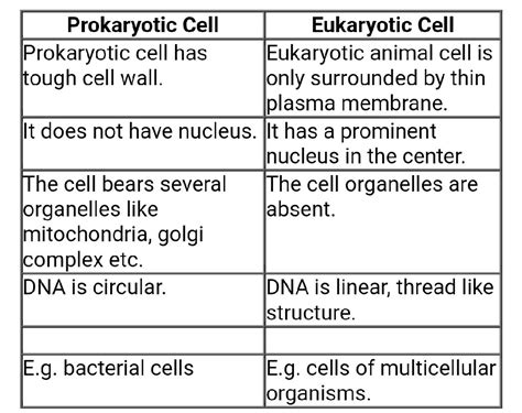 Prokaryotes And Eukaryotes Difference Between Prokaryotic And Images