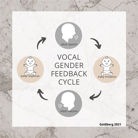 Gendered Vocal Behavior Well Said Toronto Speech Therapy Providing