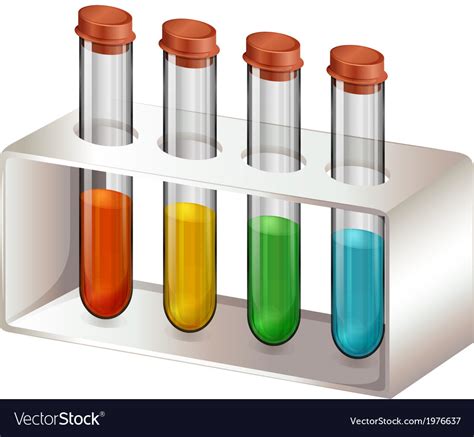 Test Tubes With Chemicals Royalty Free Vector Image