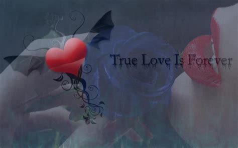 Hd True Love Is Forever Wallpaper Download Free 95045