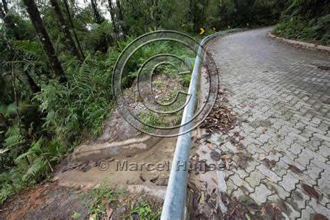 Marcel Huijser Photography Road Ecology Blog Drainage And Culvert Along Road Carlos Botelho