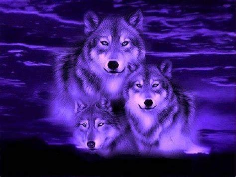 Blue Wolf Fantasy Wallpaper Best Hd Wallpapers Wolf Spirit Animal