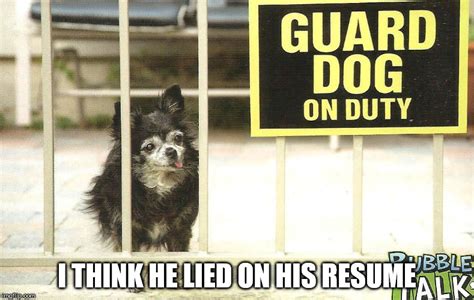 Image Tagged In Guard Dog Imgflip