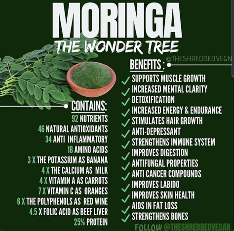 Moringa In 2020 Moringa Benefits How To Increase Energy Moringa