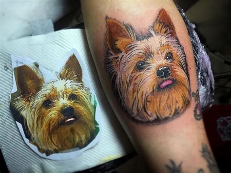 The 10 Coolest Yorkshire Terrier Tattoo Designs In The World Yorkshire Terrier Haircut