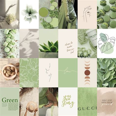 Plant Aesthetic Aesthetic Colors Aesthetic Collage Green Aesthetic