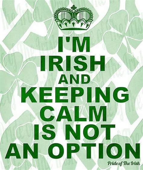 Haha Irish Quotes Irish Sayings St Patricks Day Irish Eyes Are
