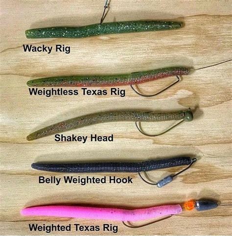 Wacky Rig Plastic Worm All Worms