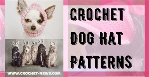 30 Crochet Dog Hat Patterns Crochet News