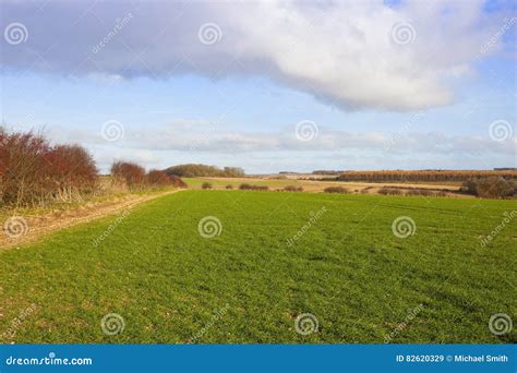 Wheat Crop And Scenic Farmland Stock Image Image Of Walking Clouds