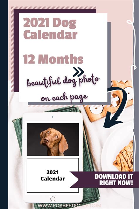 2021 Dog Calendar Printable Calendar Digital Print File Etsy In 2021