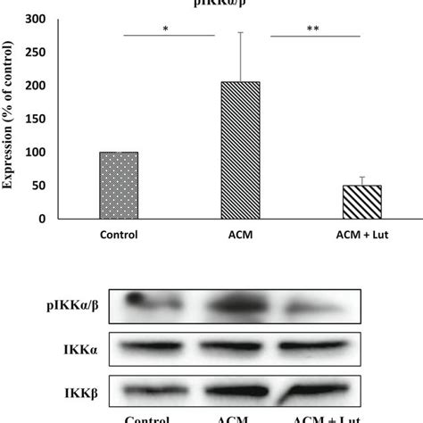 Luteinmediated suppression of NFκB signaling in RAW 264 cells