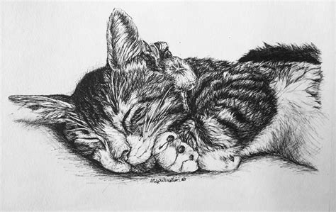 Yes, related things are allowed but a cat face in a drawing. Janet England's Blog: Custom Pen and Ink Cat Drawings by ...