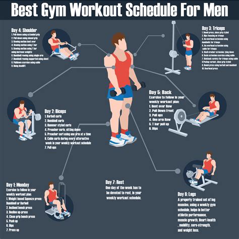 Gym Workout Schedule For Men Gym Workout Schedule Workout Schedule