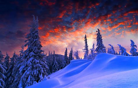 Snowy Landscape Stock Photo Image 48658433