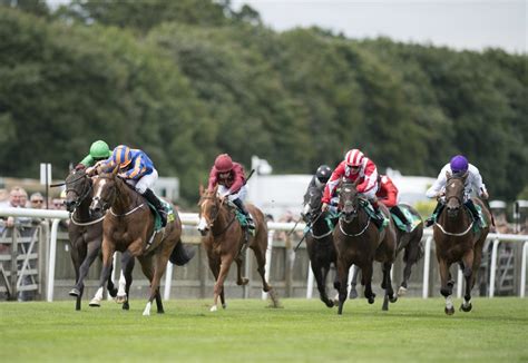 Newmarket July Festival 2020 Day 3 Preview Best Bets And Tips Myracing