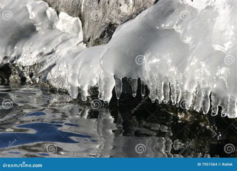 Melting Icicles Stock Photo Image Of Waterside Water 7957564