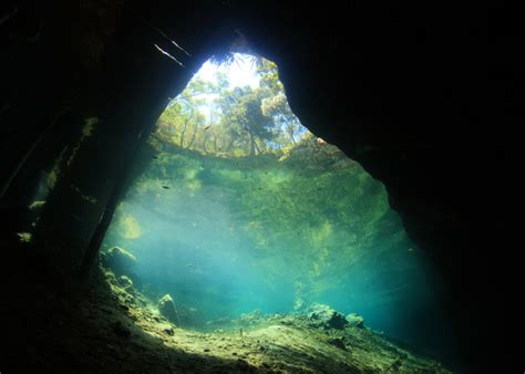 Dive Site Ginnie Springs Florida Scuba Diver Life