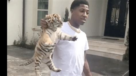 Nba Youngboy Finds Out His Baby Mama Lied His Son Isnt His Details 8satire