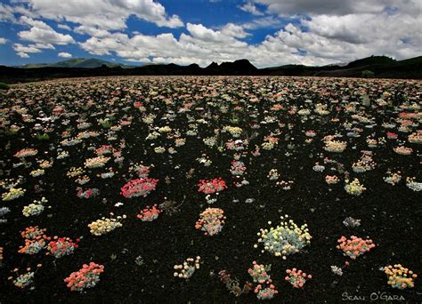 Craters Of The Moon Idaho Travel Travel Usa America Travel Places To
