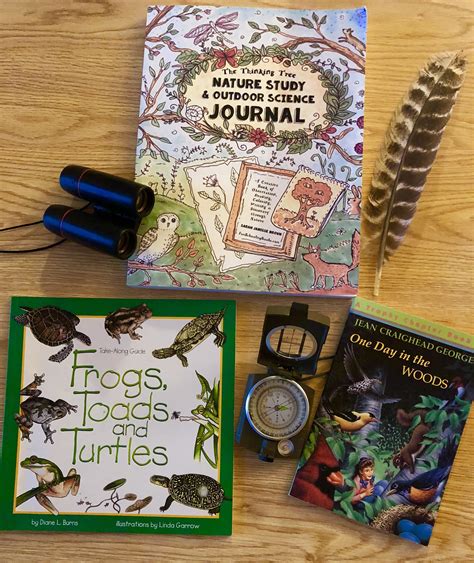 Homeschooling With The Thinking Tree Nature Study And Outside Science