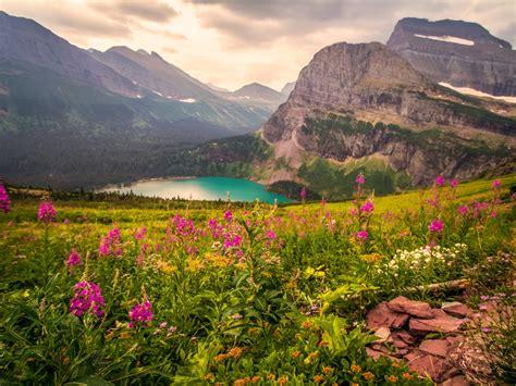 Landscape Mountains Mountain Lake Flowers Beautiful Hd